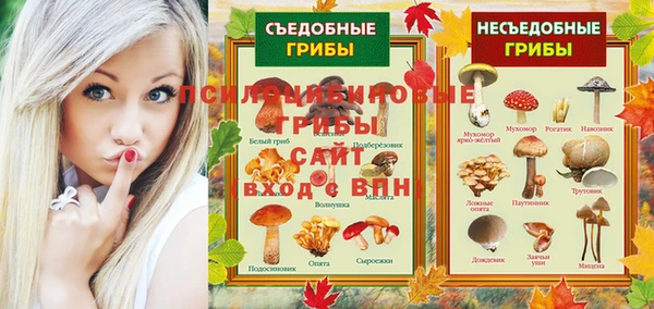 хмурый Алексеевка