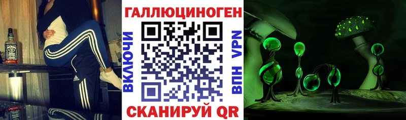 где найти Сольцы мега ТОР Галлюциногенные грибы Cubensis