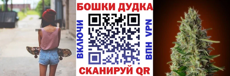 Конопля гибрид  Сольцы 